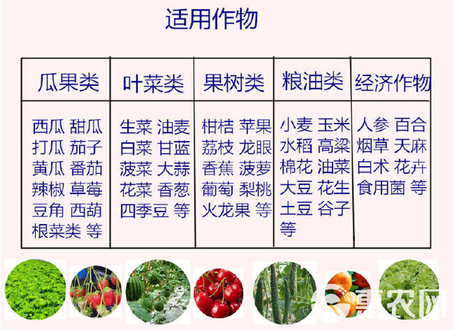 磷肥过磷酸钙 5斤