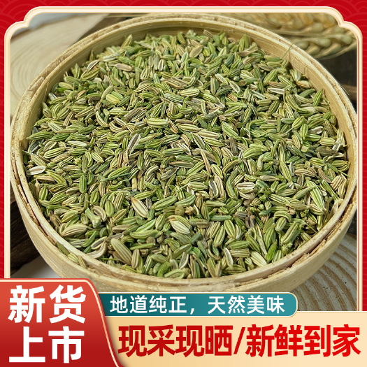 玉林小茴香批发足干无硫厂家直供100斤起批