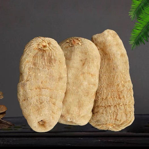 金沙县 天麻