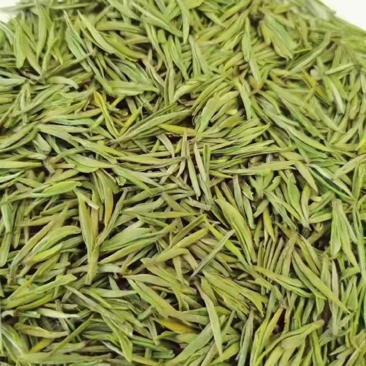 安吉县安吉白茶 明前茶 实惠散装 安吉高山白茶 茶农自产自销