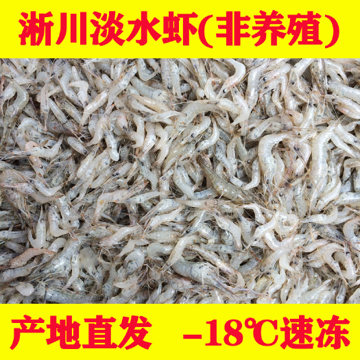 淅川县淅川淡水虾非养殖速冻虾批发产地直发丹江口青虾