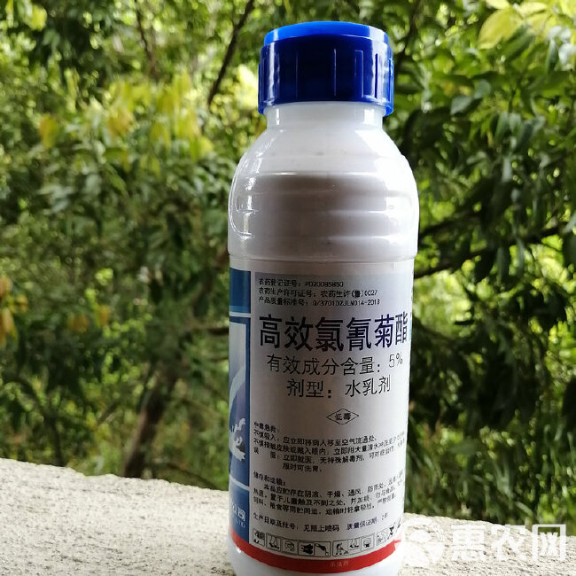 农药杀虫剂5%高效氯氰菊酯水乳剂500克绿霸蚜虫木虱食心虫