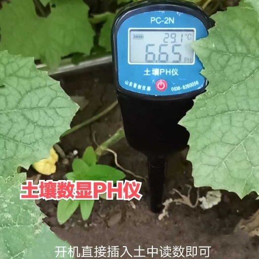 潍坊土壤检测仪 土壤酸碱度速测仪，数显PH计