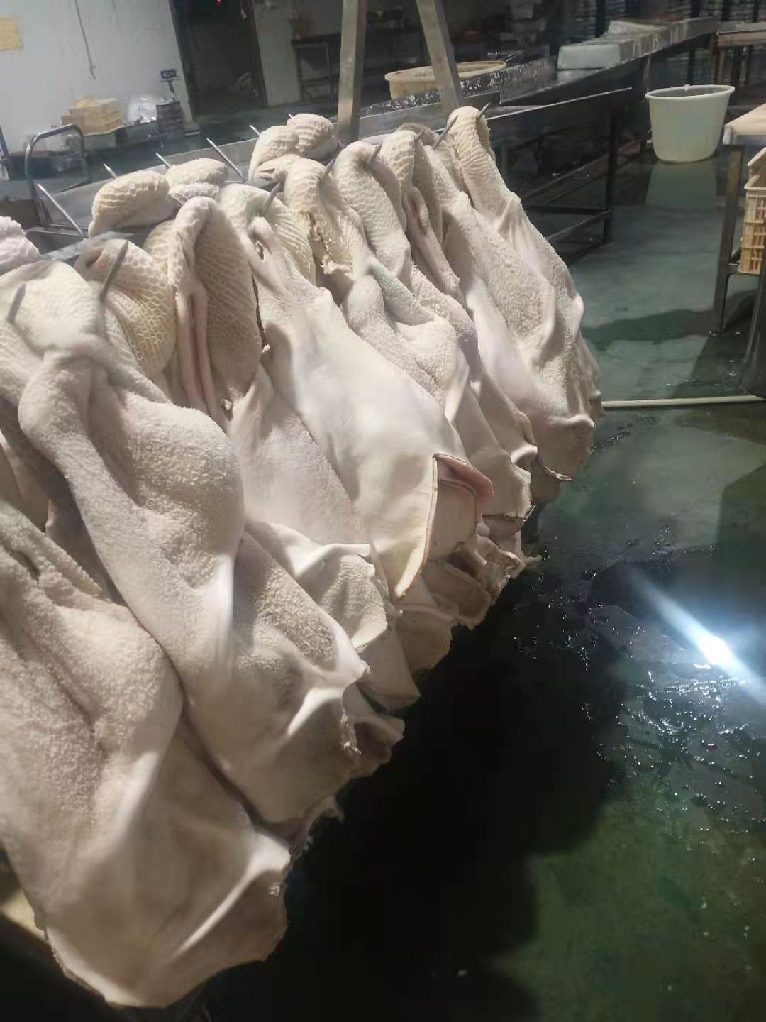  牛肚  灰退半成品