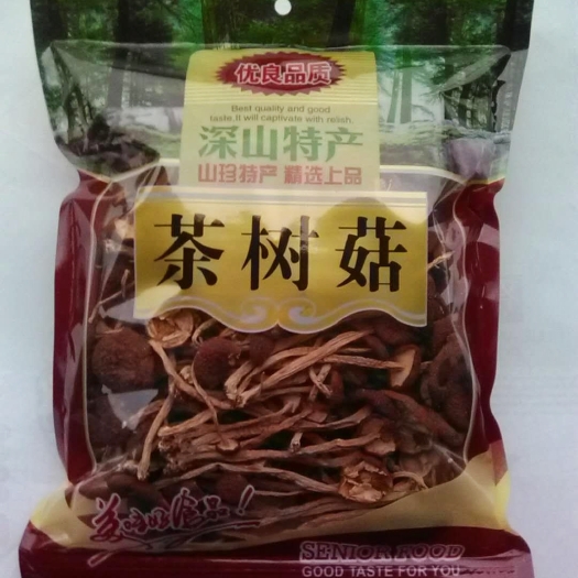茶树菇1