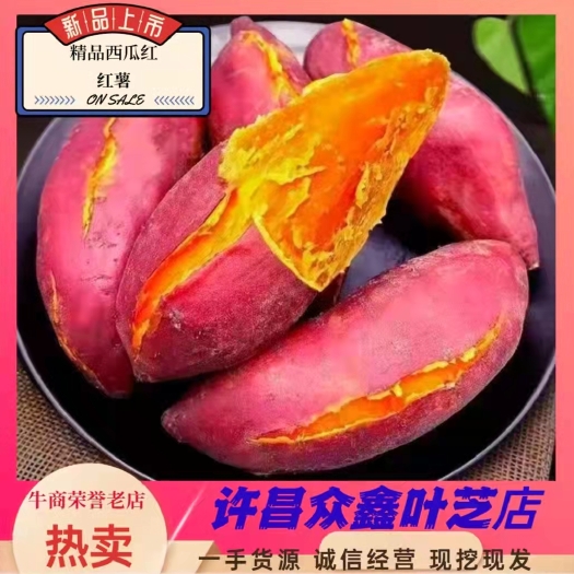 禹州市西瓜红红薯苗
