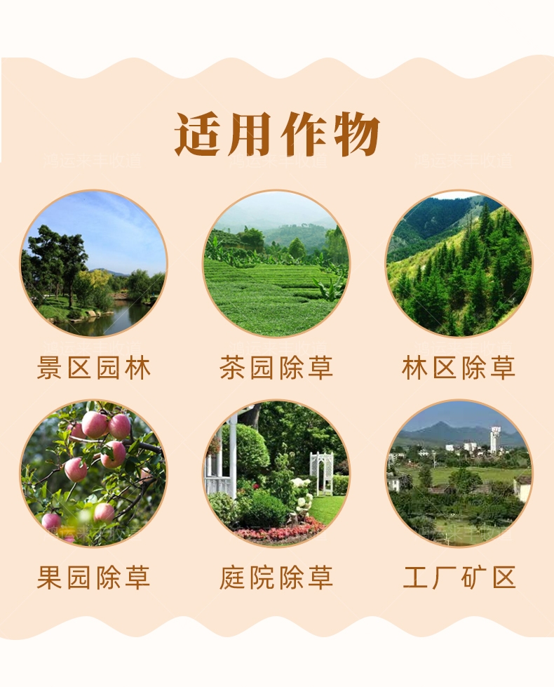 草甘三氯吡60%100克内吸灭生烂根型除单双子叶草本植物包邮