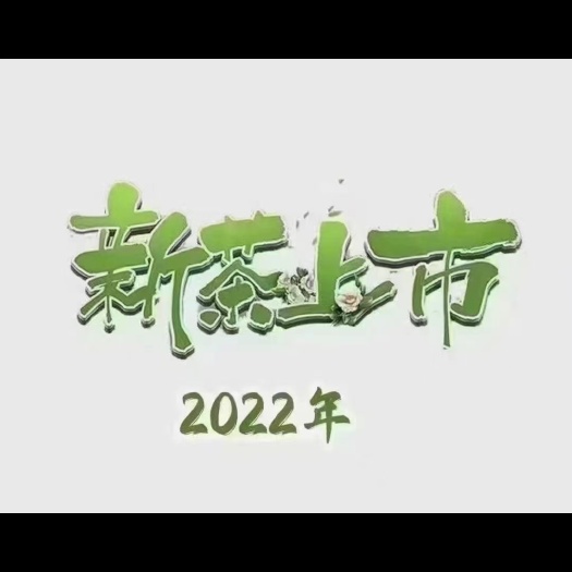 金寨县新白茶  高山白茶