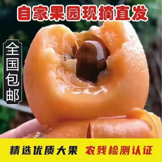 莆田 解放钟枇杷