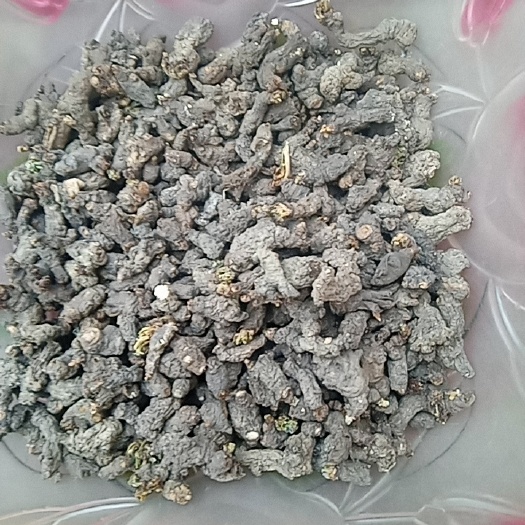 光山县天葵籽 紫背天葵  大别山特产批发零售