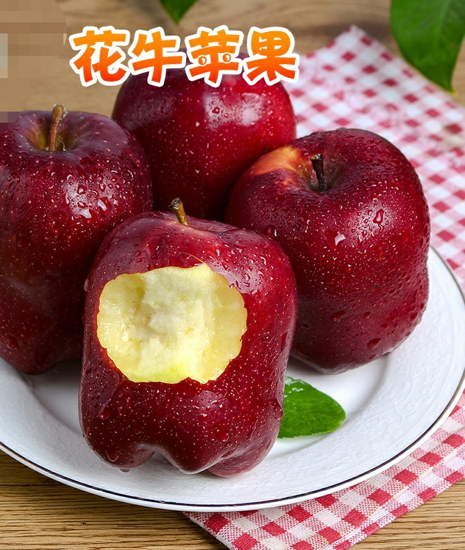 武山县带箱10斤花牛苹果新鲜当季脆甜花牛苹果批发粉面蛇果