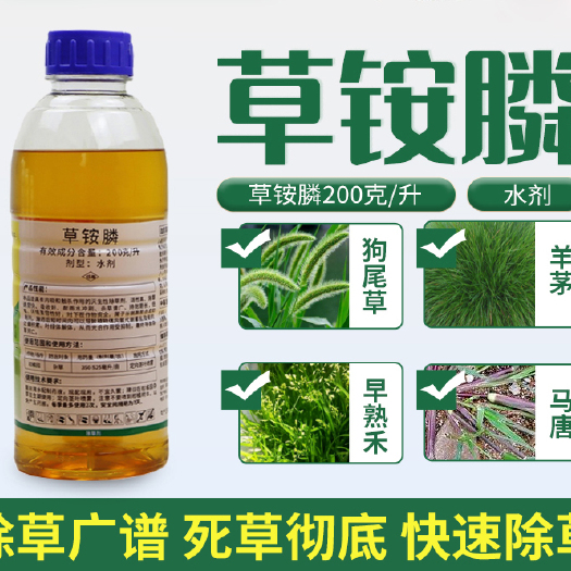 济南 诺普信炬犇草铵膦农药荒地果园果林牛筋草小飞蓬抗性杂草除草剂