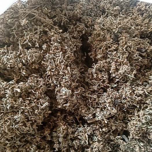 芫花 干净无霉变 无硫磺 正品批发零售