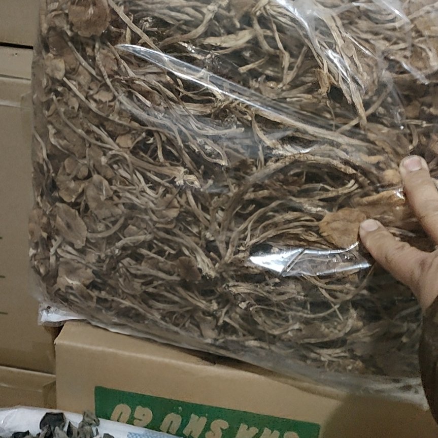 茶树菇，古田自产自销，干度好，条子细