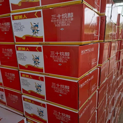  根美人 三十烷醇，促进作物生长发育