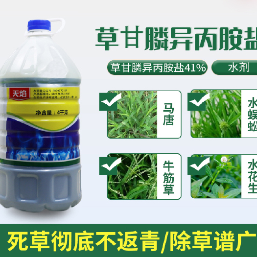 济南 天焰 41%草甘膦异丙胺盐除草神剂荒地杂草一扫光