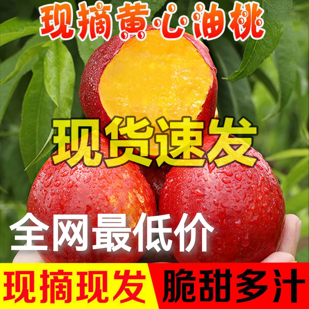 中油油桃  【现货】黄心油桃现摘现发1/3斤5斤支持一件代发