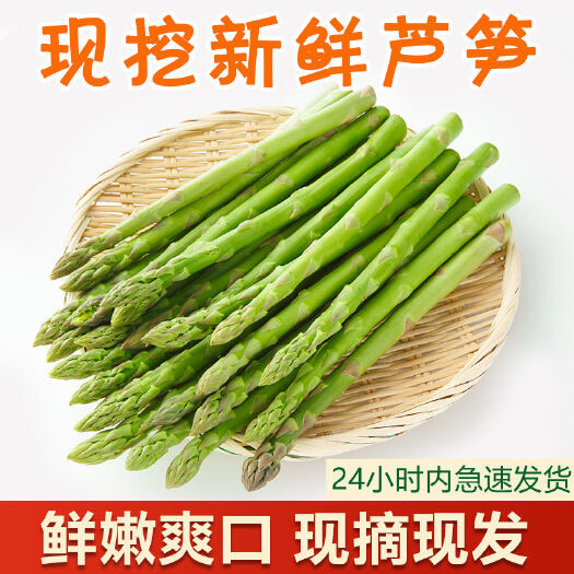 曹县绿芦笋 【现摘芦笋新鲜】有机蔬菜农家自种绿笋白笋产地直销时令