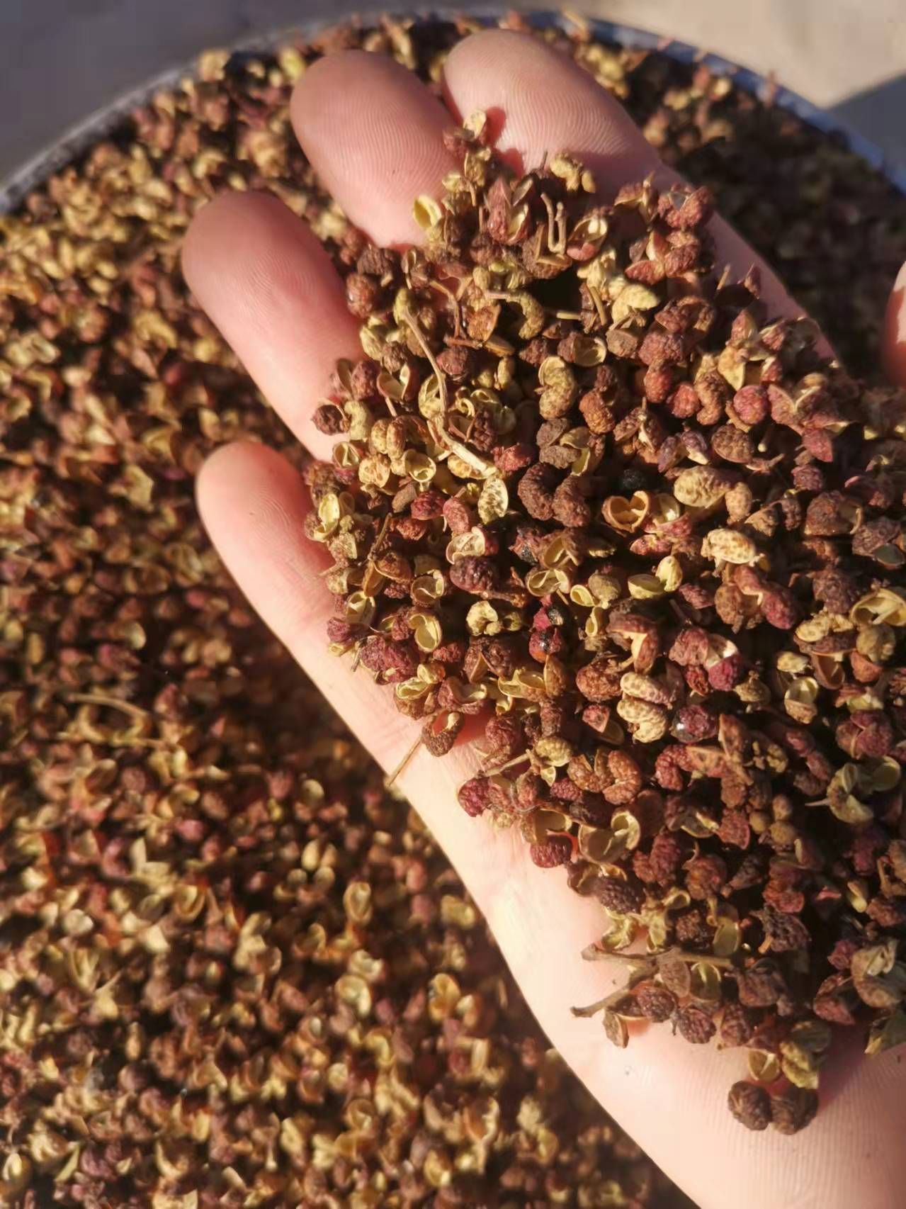 花椒叶   花椒杆子 花椒把 打粉专用 泡脚花椒