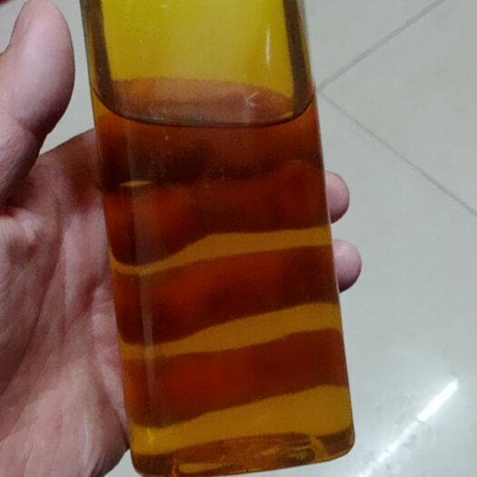 中山市山茶油 茶油，又名长寿油