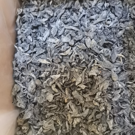 郑州东北黑木耳，软弹爽口，肉厚无根