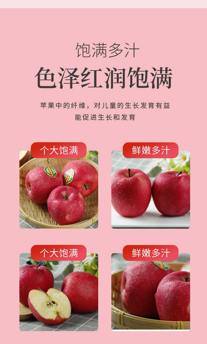  陇原北国春有机富硒苹果75MM