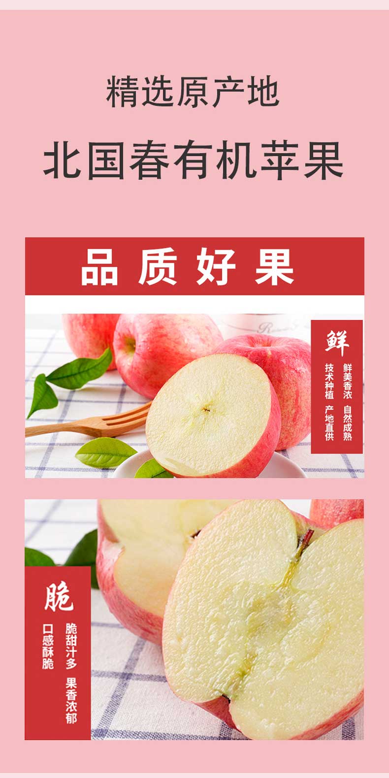  陇原北国春有机富硒苹果75MM