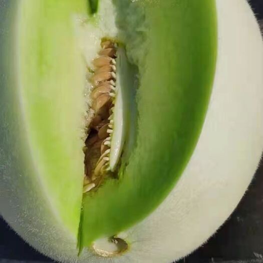 上海玉菇甜瓜 上海玉菇香甜软糯
