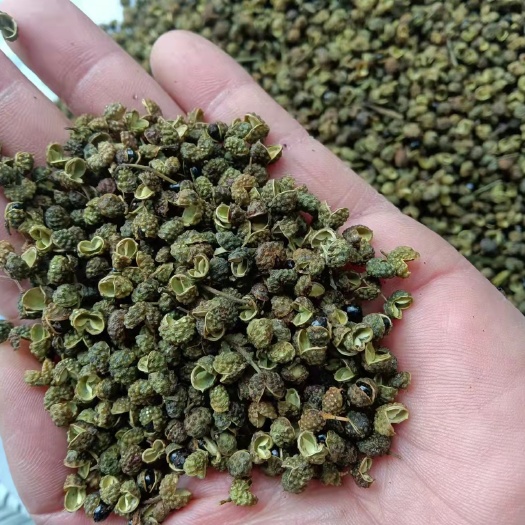 巧家县 昭通青花椒