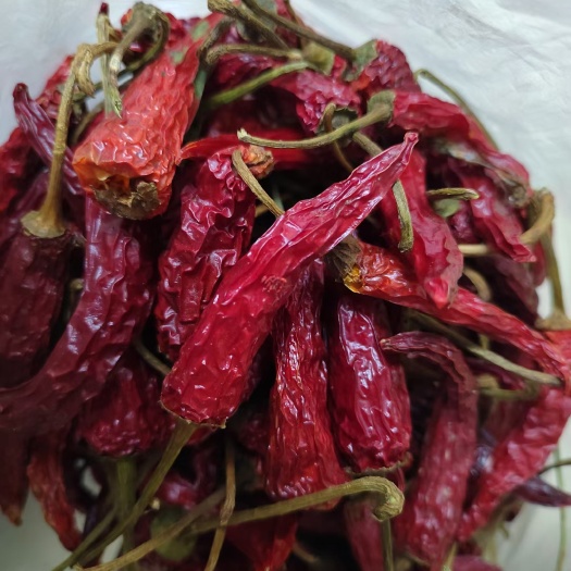 龙胜县 龙脊干辣椒
