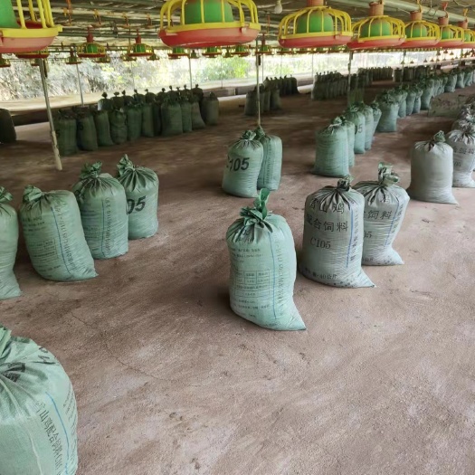 紫金县广东鸡粪常年有货基地直发品质保证诚信经营有需要的老板提前联系