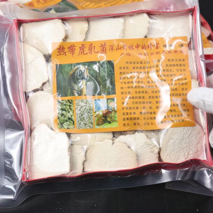 虎奶菇大片原产地直供 实物拍摄一手货源