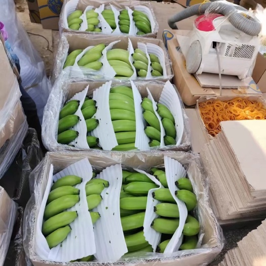 香蕉精品装