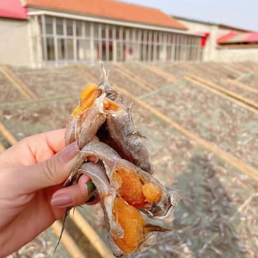 滨州沙光鱼 咸鱼，油光鱼，，泥鳅鱼，30斤起批不包邮