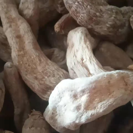 光山县天麻 干货 大别山特产批发零售