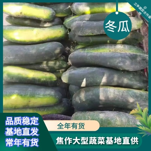 白皮冬瓜 20斤以上 黑皮