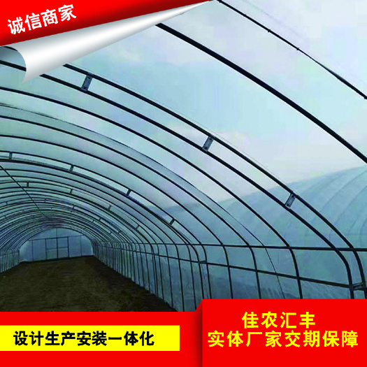 天津大棚管 大棚椭圆管 冷棚 插地大棚 现货批发 量大优惠
