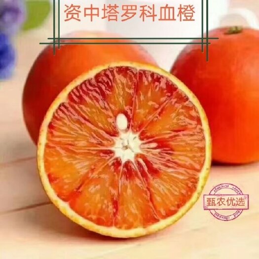 资中县塔罗科血橙 资中血橙鲜果产地供应