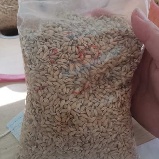 鱼台县稻谷 济宁鱼台水稻5000吨。详情随时联系