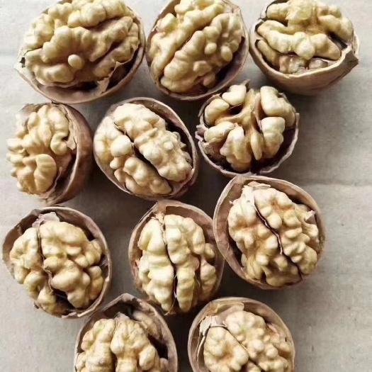 赞皇县新疆纸皮核桃185，仁大饱满！一枚核桃香，每天好心情！