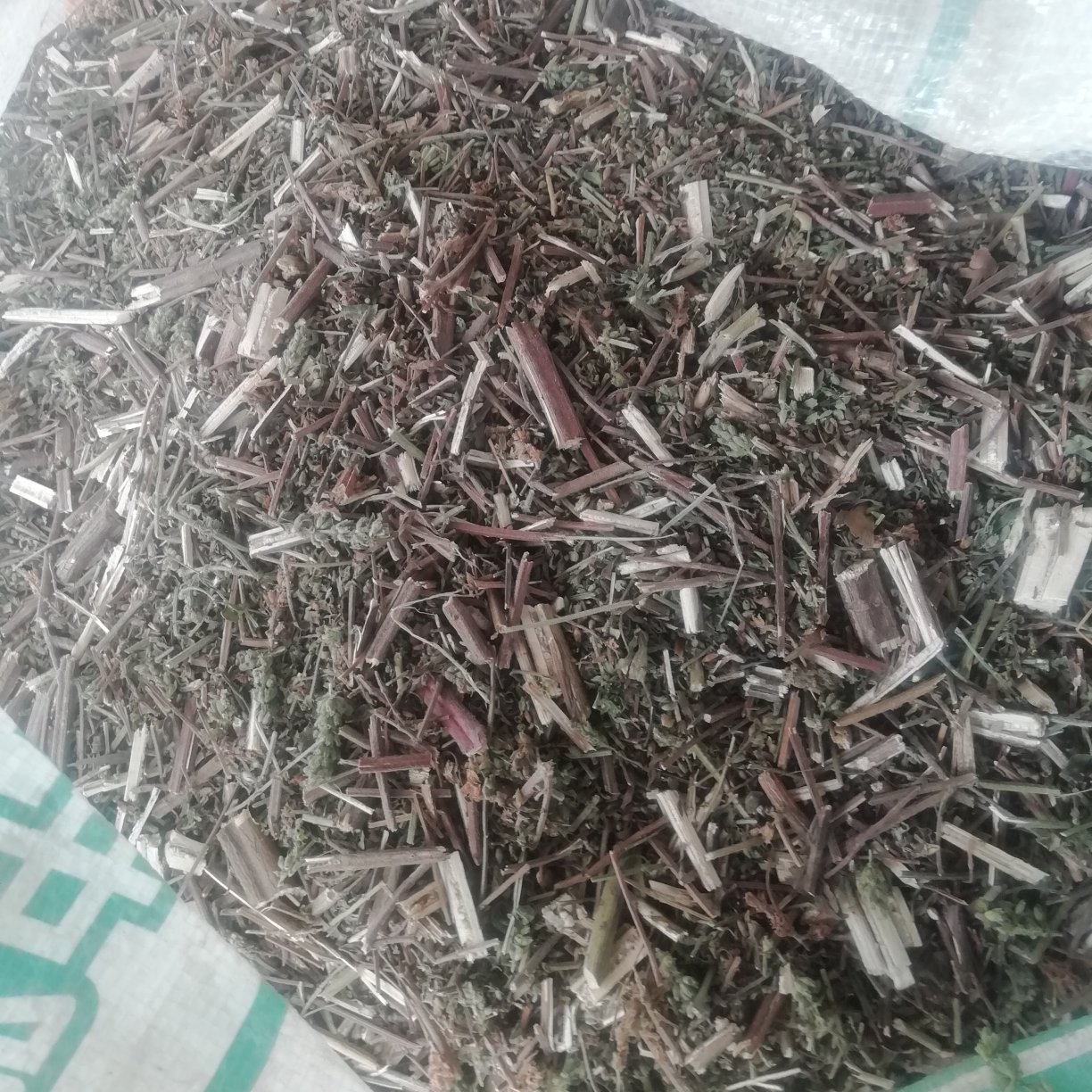 汝阳县荆芥，荆芥带穗切段干品