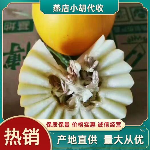 莘县黄河蜜 久红瑞