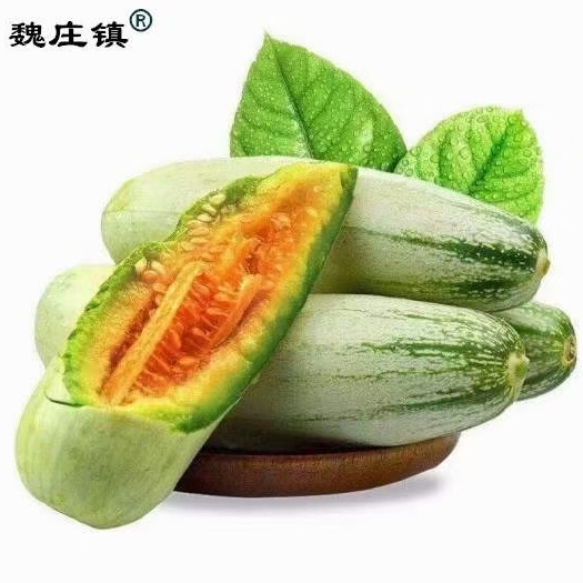 莘县山东省聊城市莘县博洋甜瓜基地直供