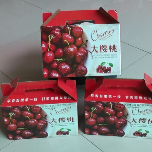 北京拉宾斯樱桃 北京市顺义区张镇聂庄村采摘樱桃