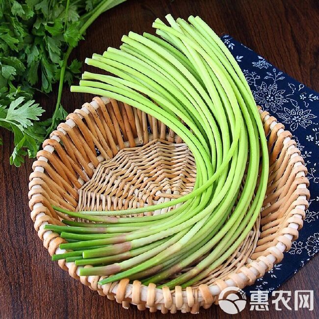 蒜苔【新鲜现摘现发疯狂热销中】绿帽蒜苔红帽蒜台新鲜批发蔬菜