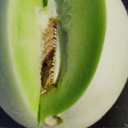 上海上海玉菇甜瓜支持一件代发，电商，团购采摘量大从优欢迎来电