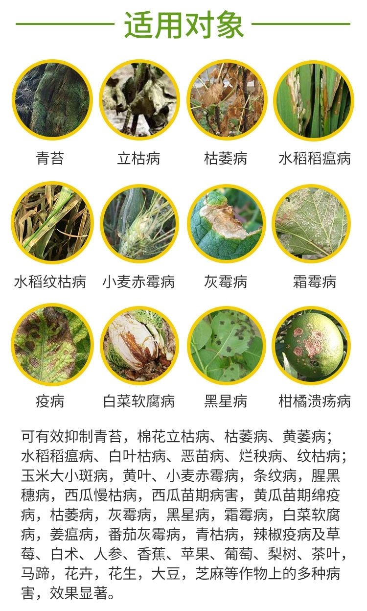 80%乙蒜素青苔枯萎青枯根腐病死苗烂秧真菌细菌农用杀菌剂农