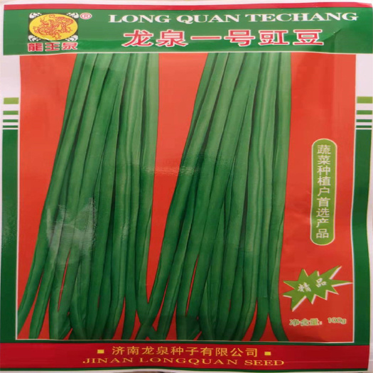 济南龙泉一号豇豆种子四季豆角种子高产抗病青条白条翠绿色种孑不易老