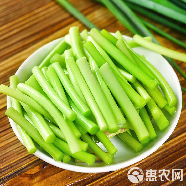 蒜苔【新鲜现摘现发疯狂热销中】绿帽蒜苔红帽蒜台新鲜批发蔬菜