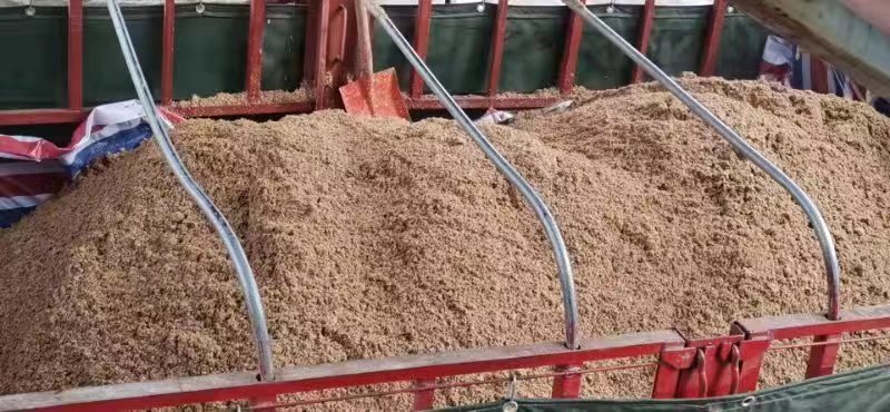 岳阳县鲜啤酒糟蛋白24以上